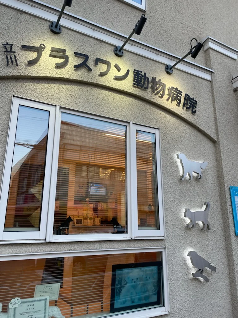 サムネイル 2