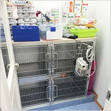 サムネイル 12