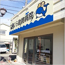 くじら動物病院
