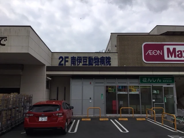 南伊豆動物病院