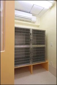 サムネイル 12