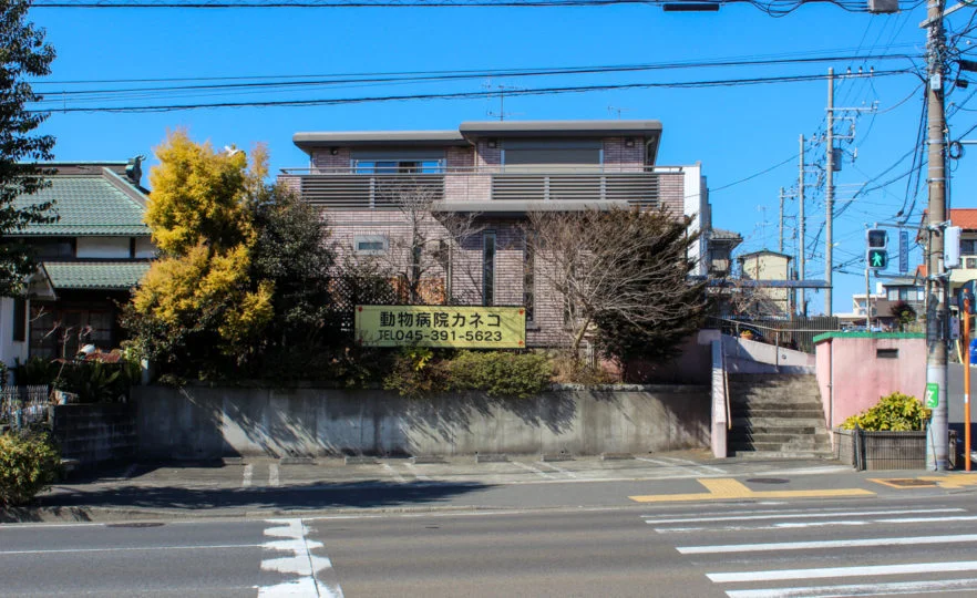 サムネイル 2