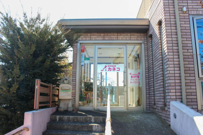 サムネイル 5