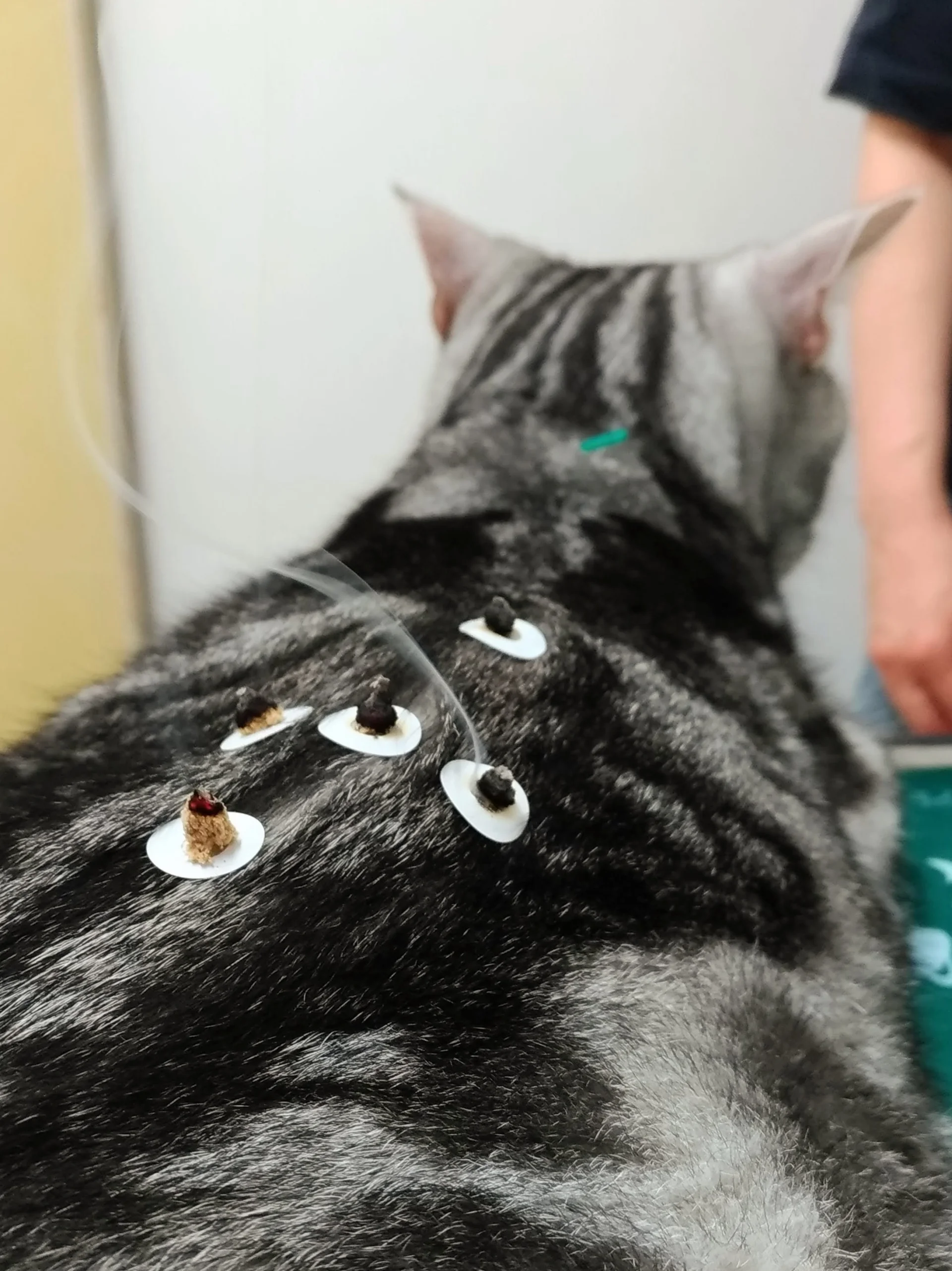 サムネイル 9