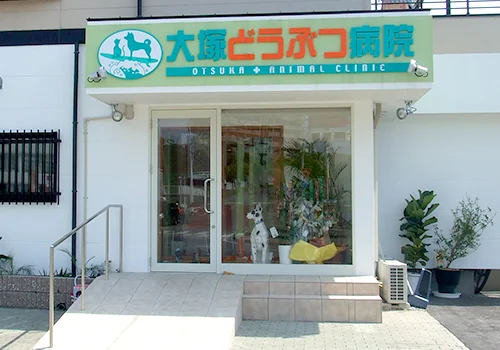大塚どうぶつ病院