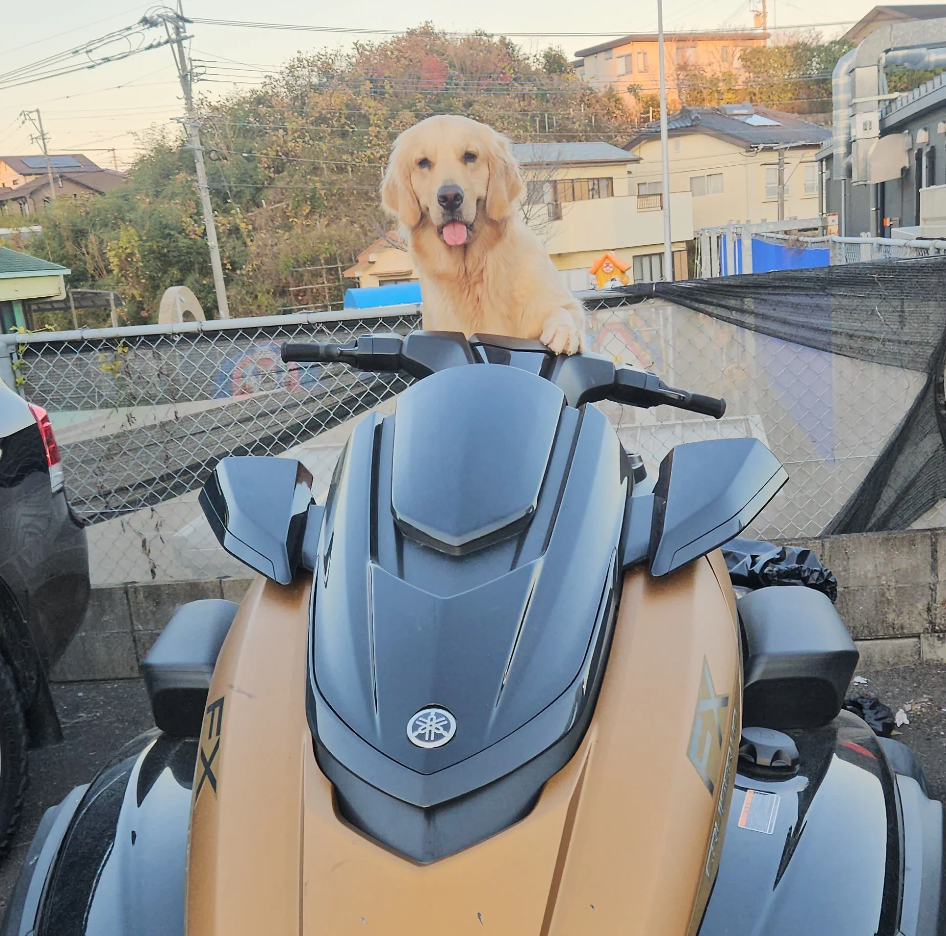 サムネイル 17