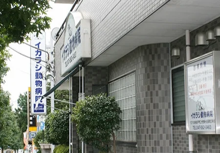イガラシ動物病院