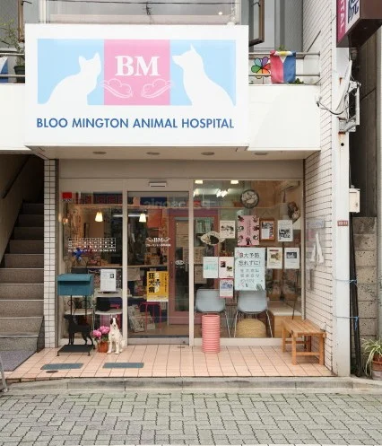 ブルーミントン動物病院