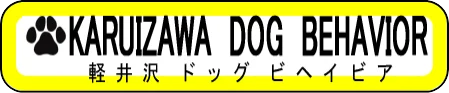 軽井沢ドッグビヘイビア