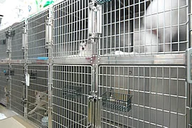 サムネイル 6