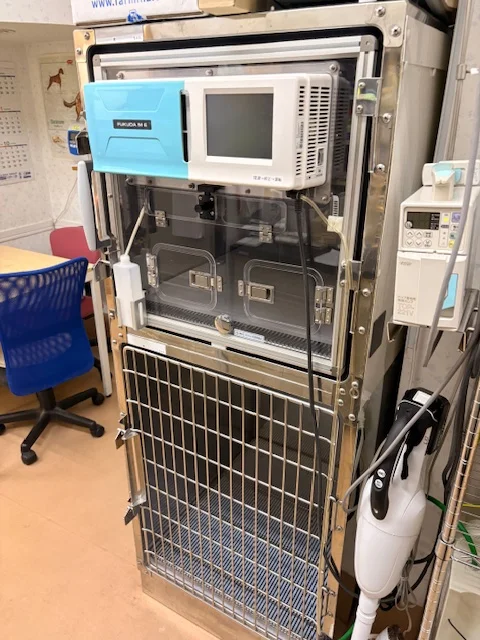サムネイル 5