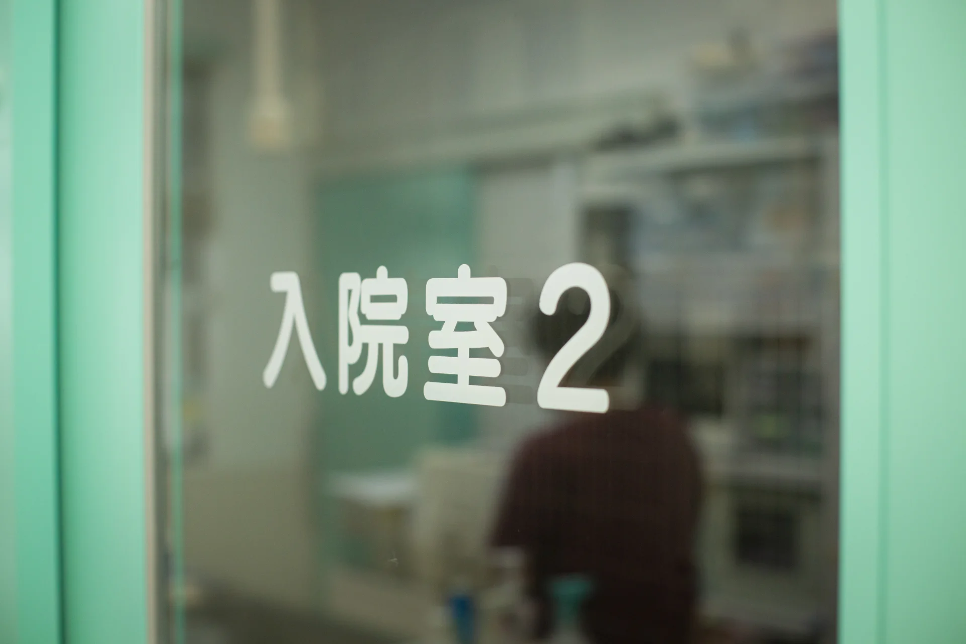 サムネイル 12