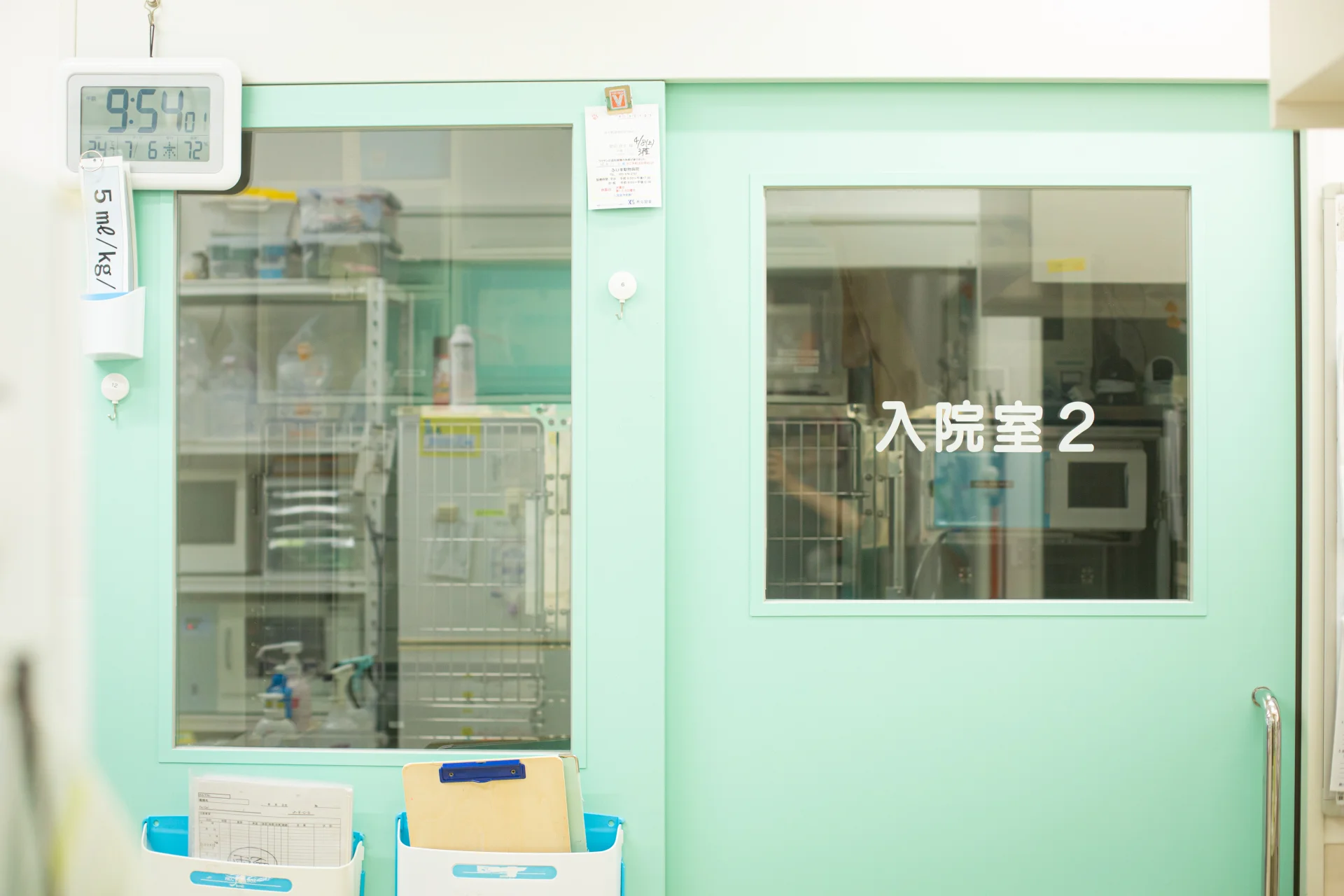 サムネイル 13