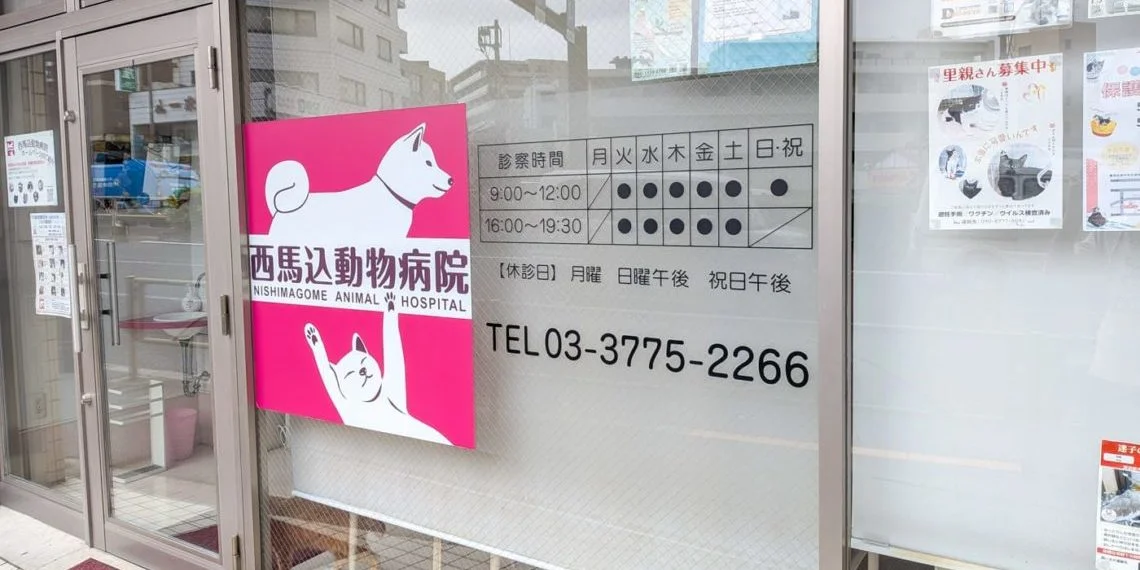 西馬込動物病院