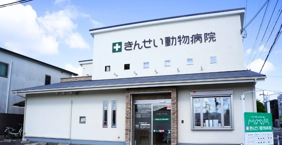 きんせい動物病院
