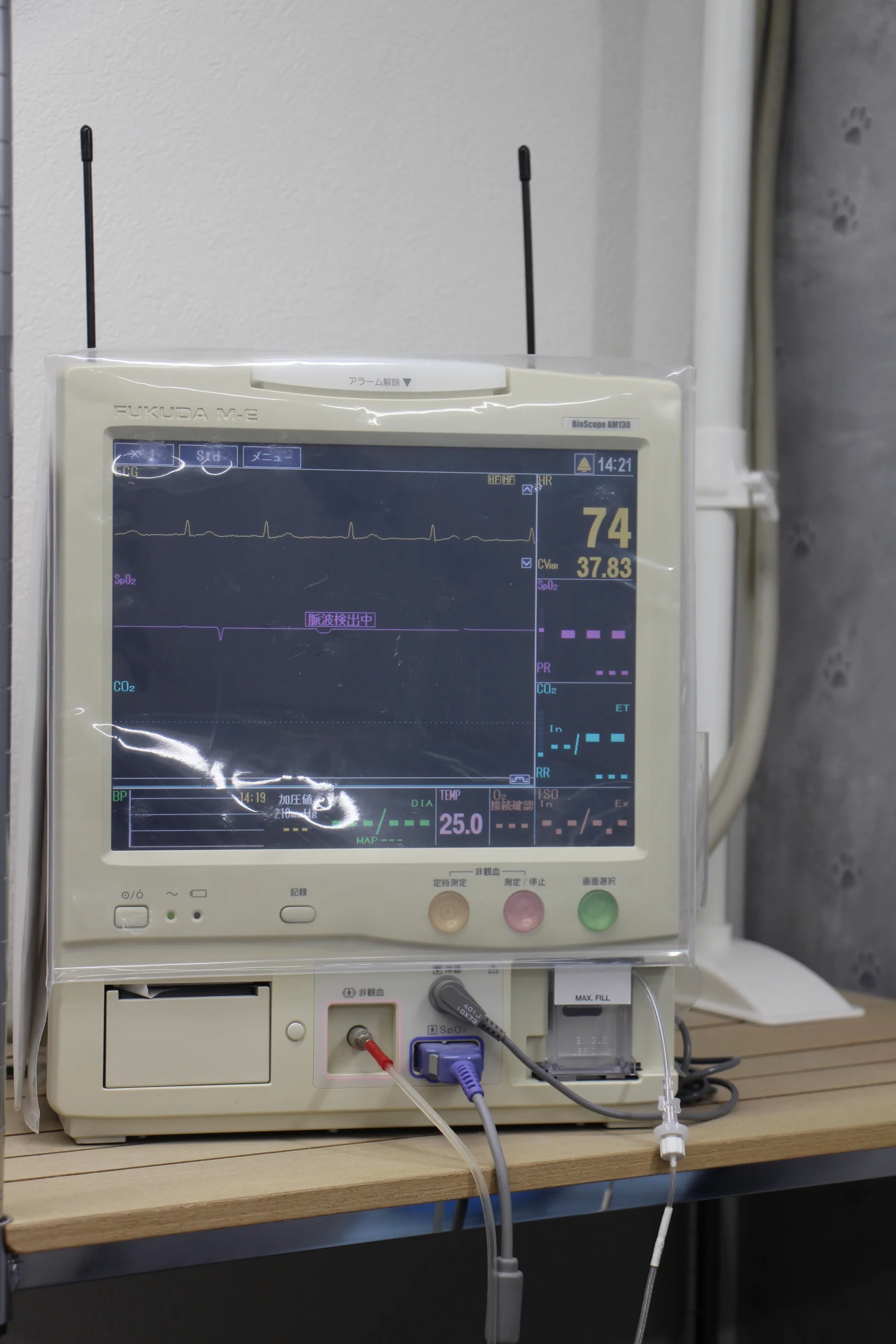サムネイル 7