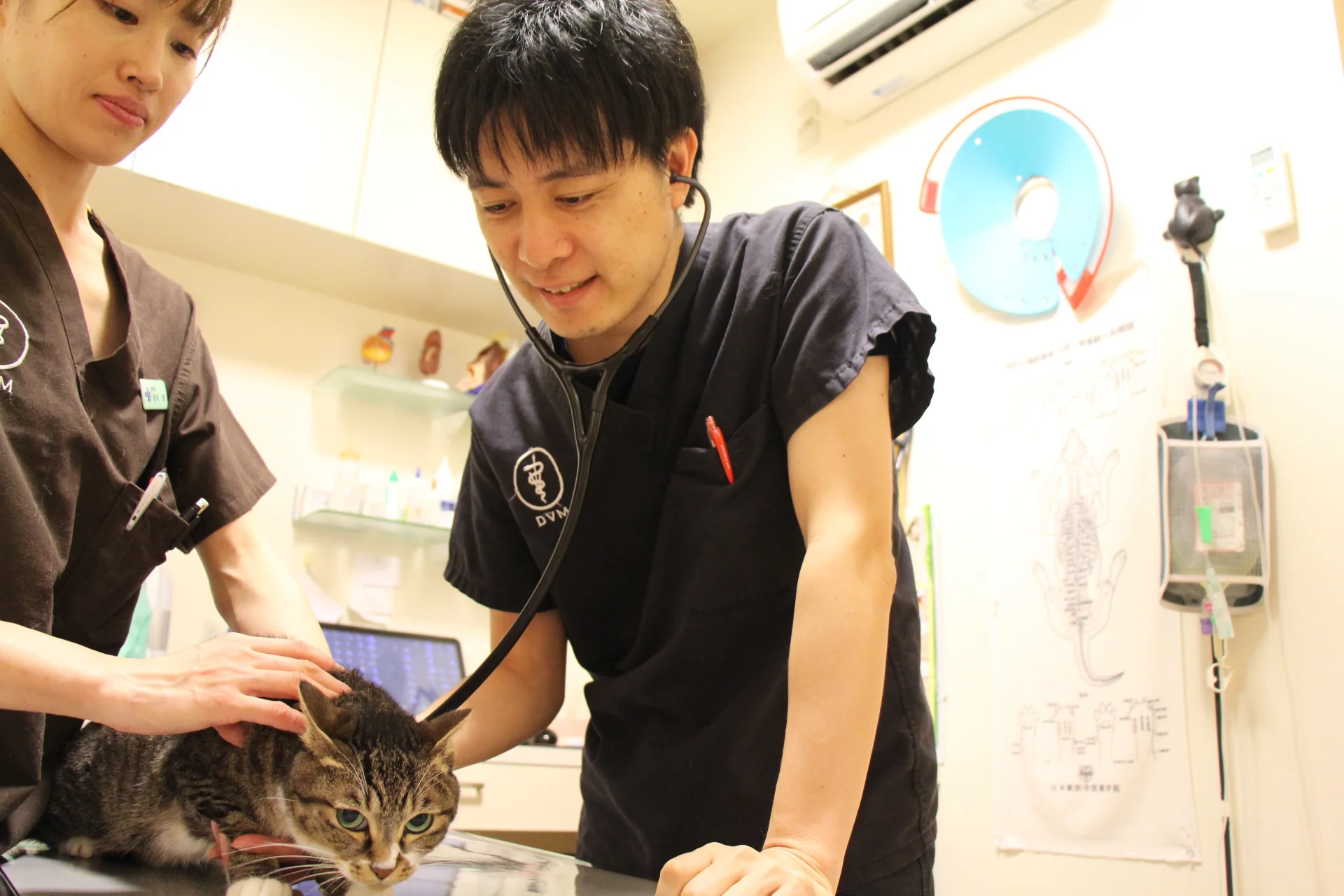 サムネイル 18