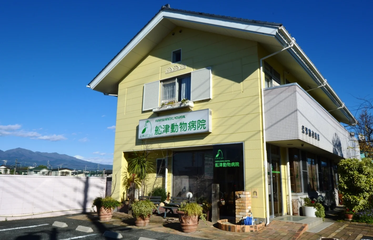 舩津動物病院
