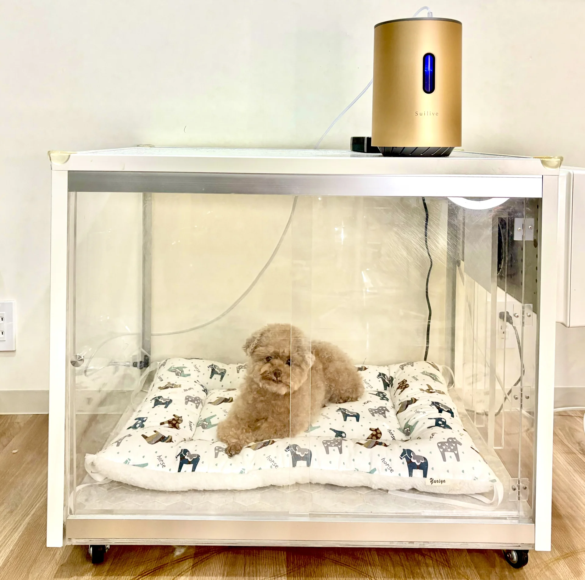 サムネイル 8