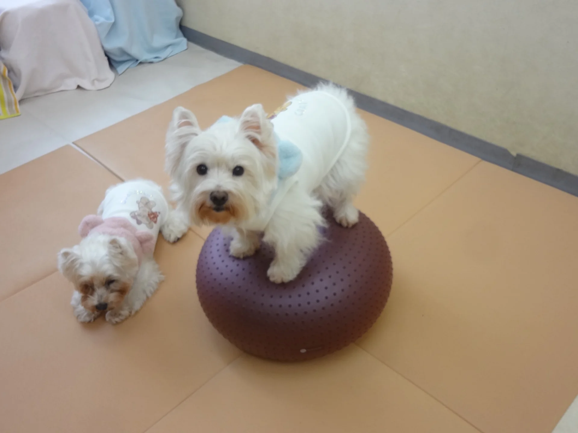 サムネイル 7