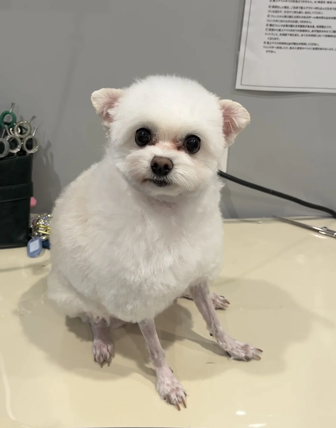 サムネイル 14