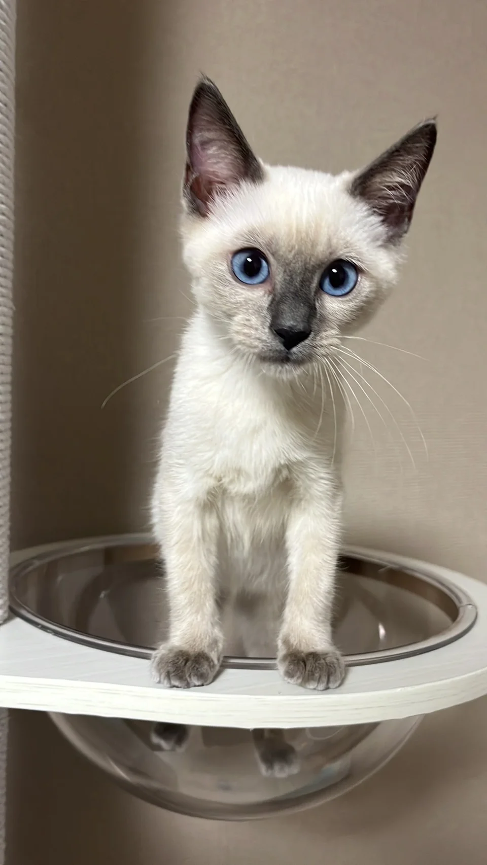 サムネイル 13
