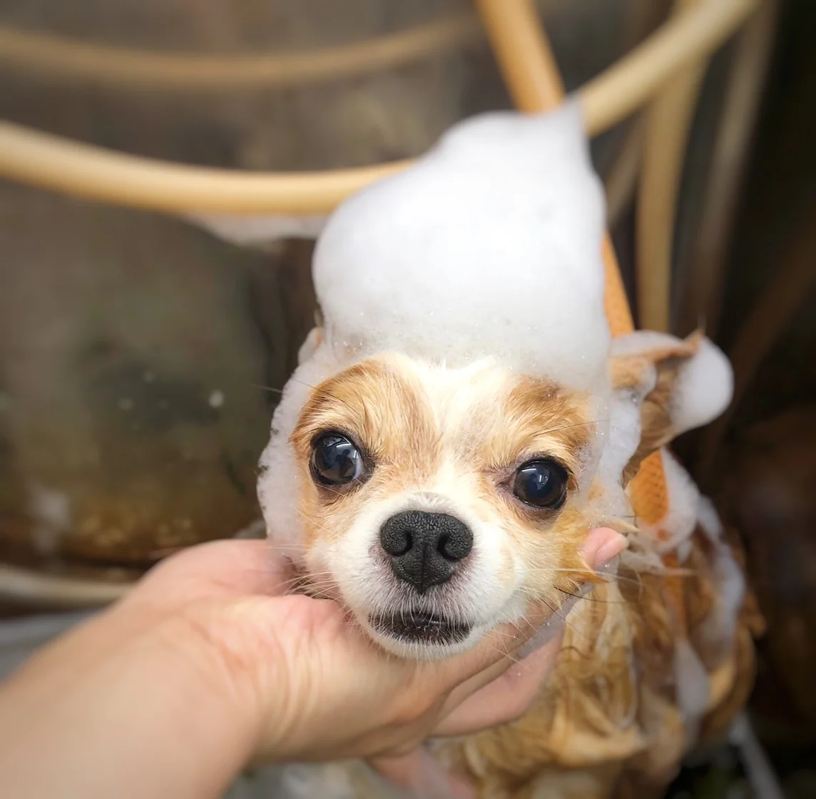 サムネイル 5