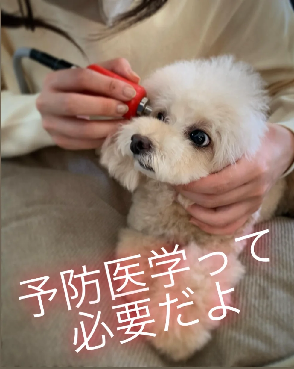 サムネイル 7