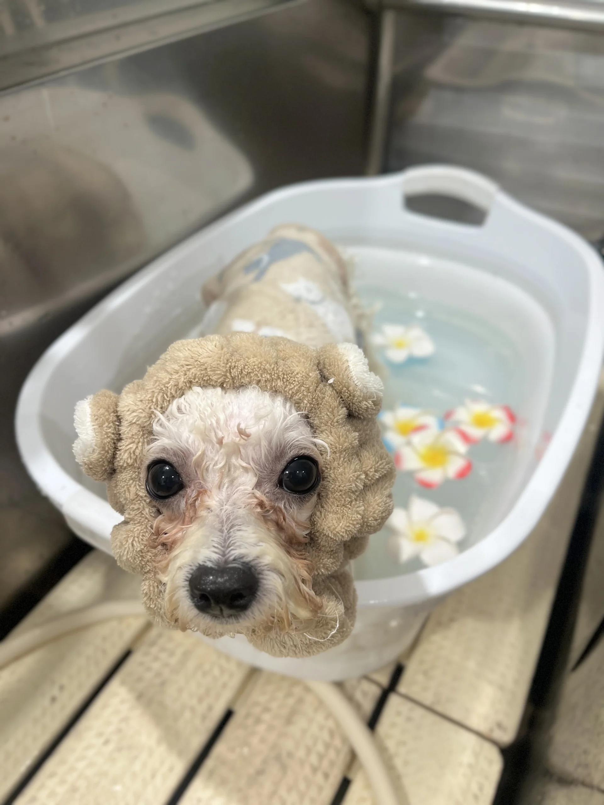 サムネイル 9