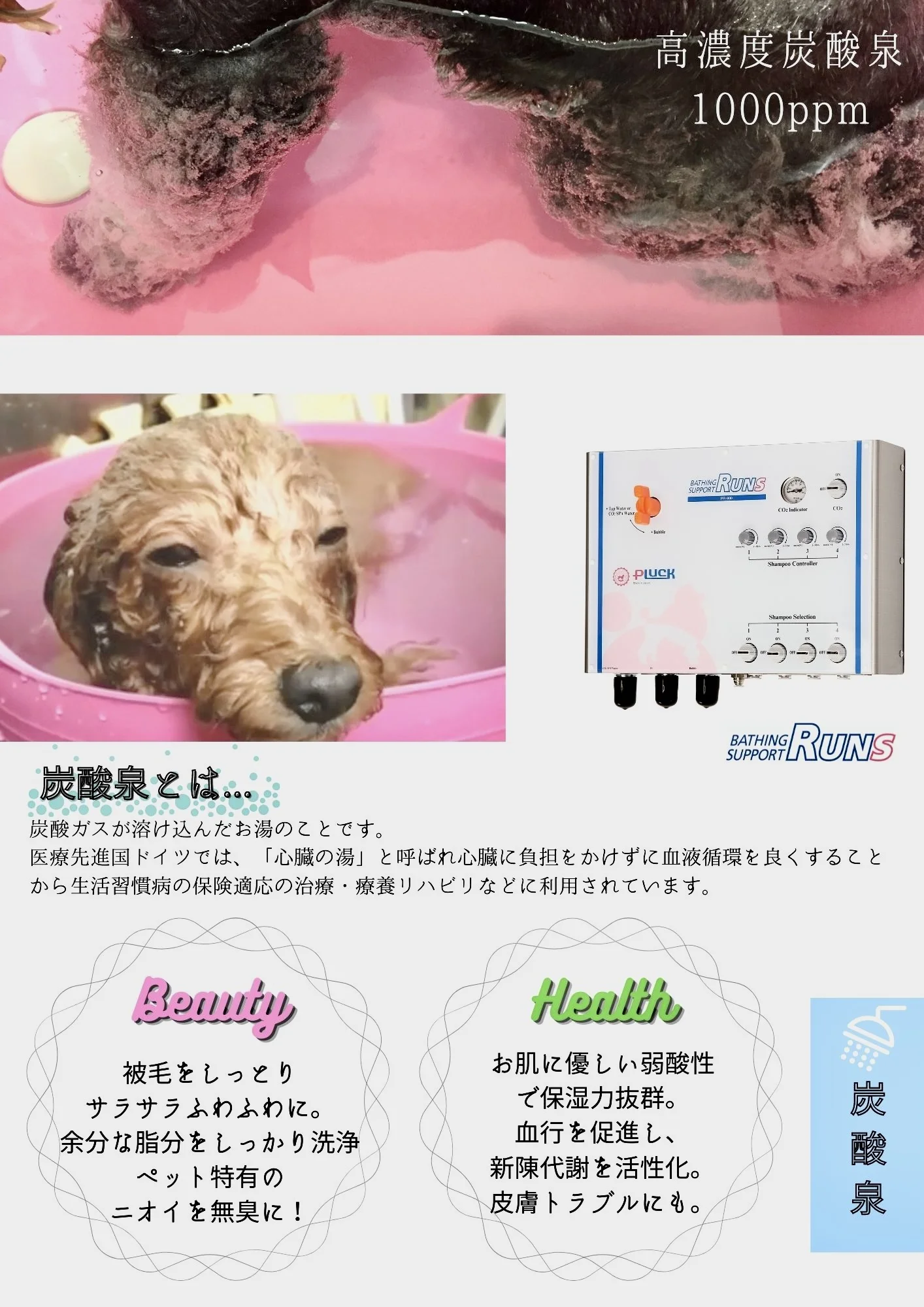 サムネイル 2
