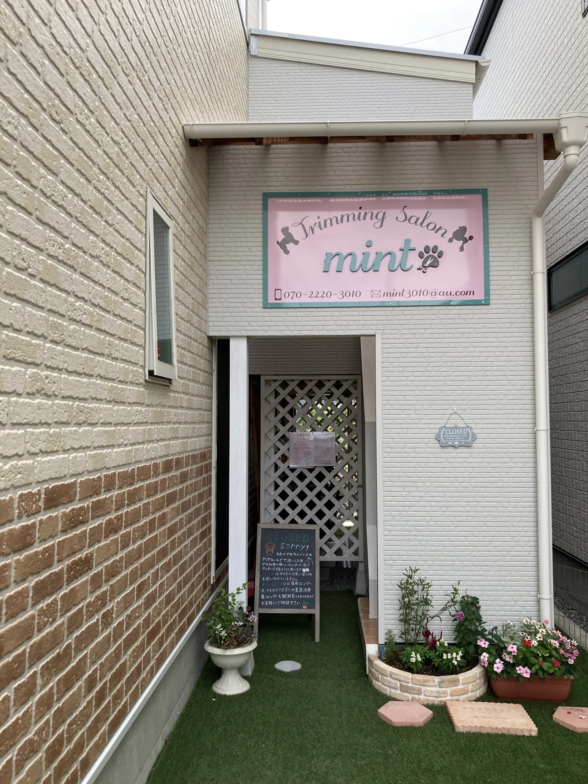 Trimming Salon mint
