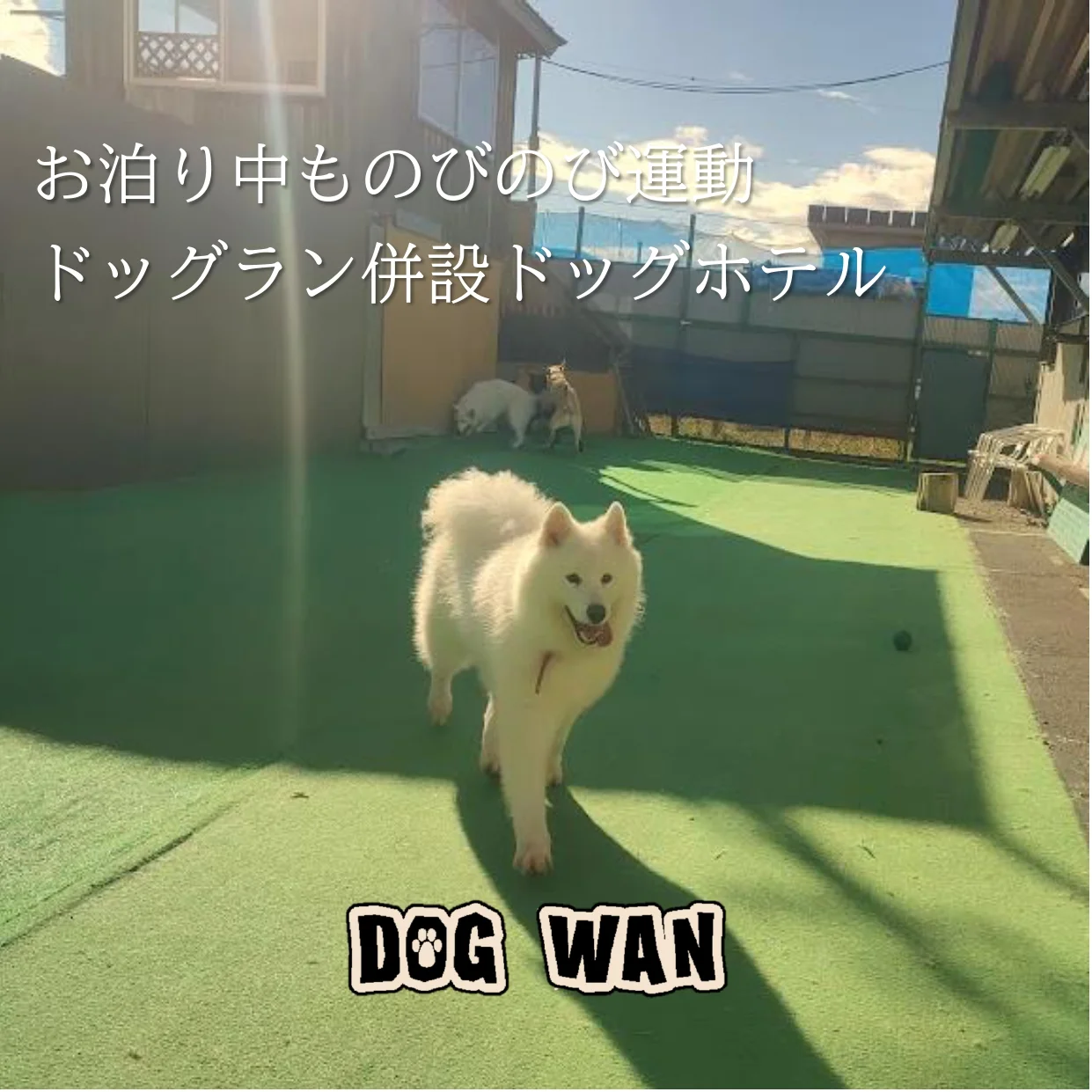 サムネイル 3