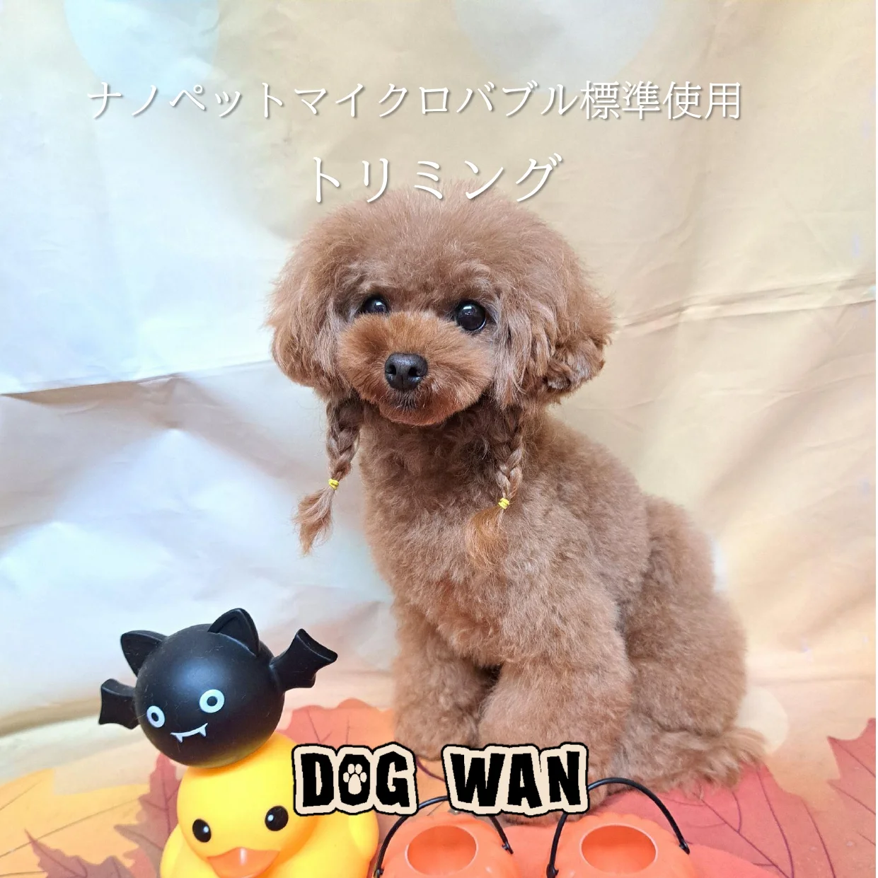 サムネイル 4