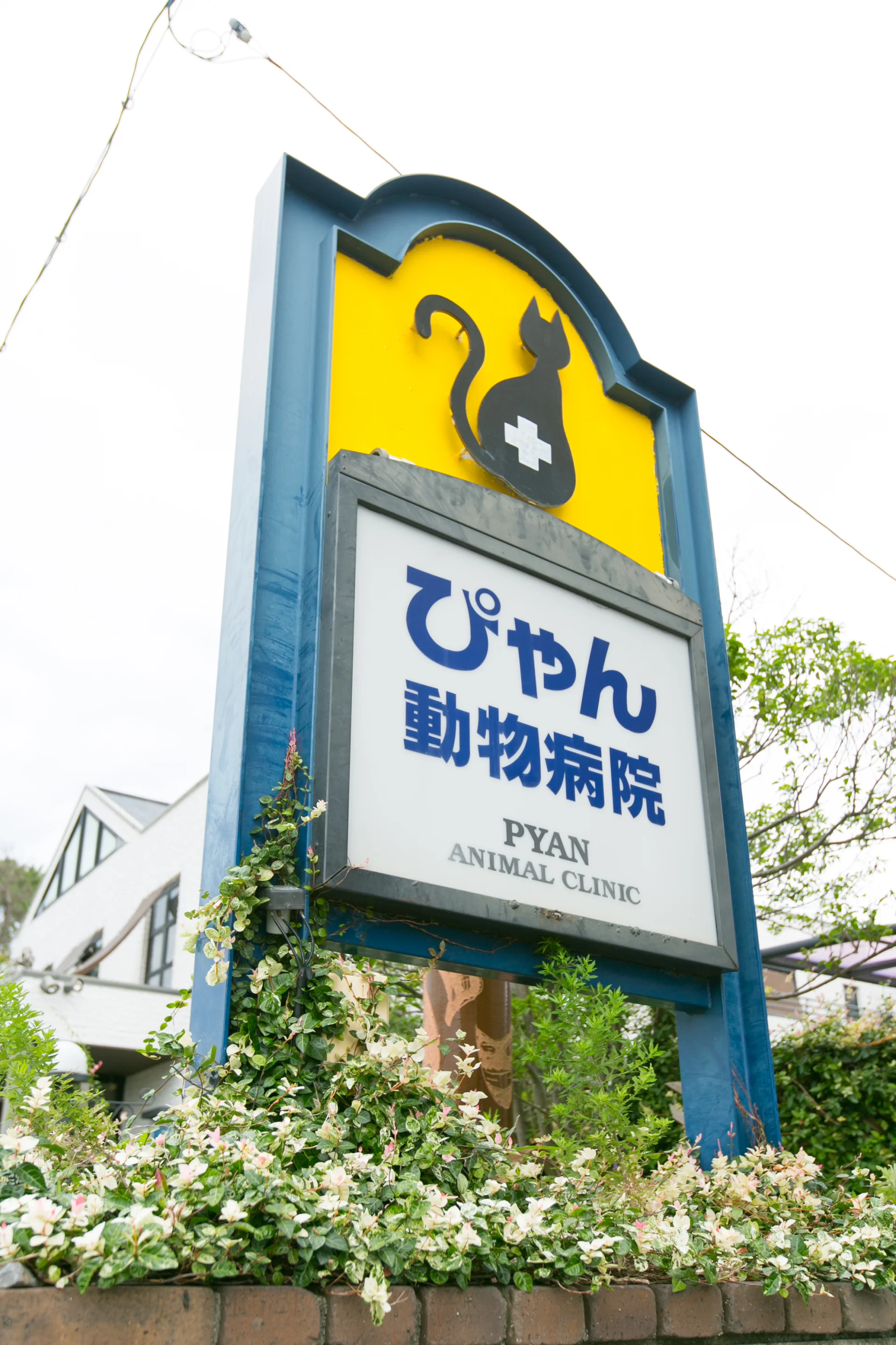 サムネイル 2