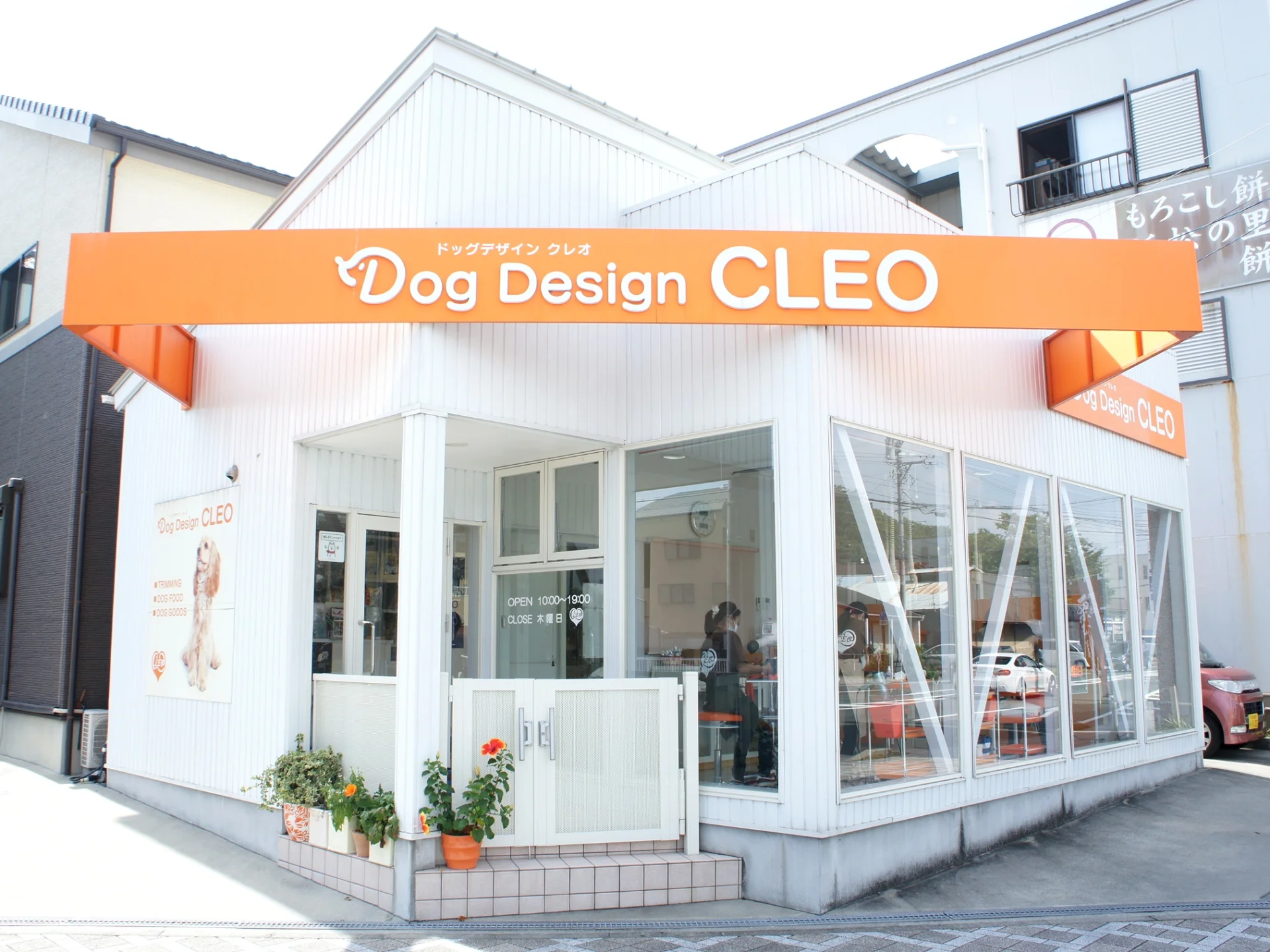 Dog Design CLEO