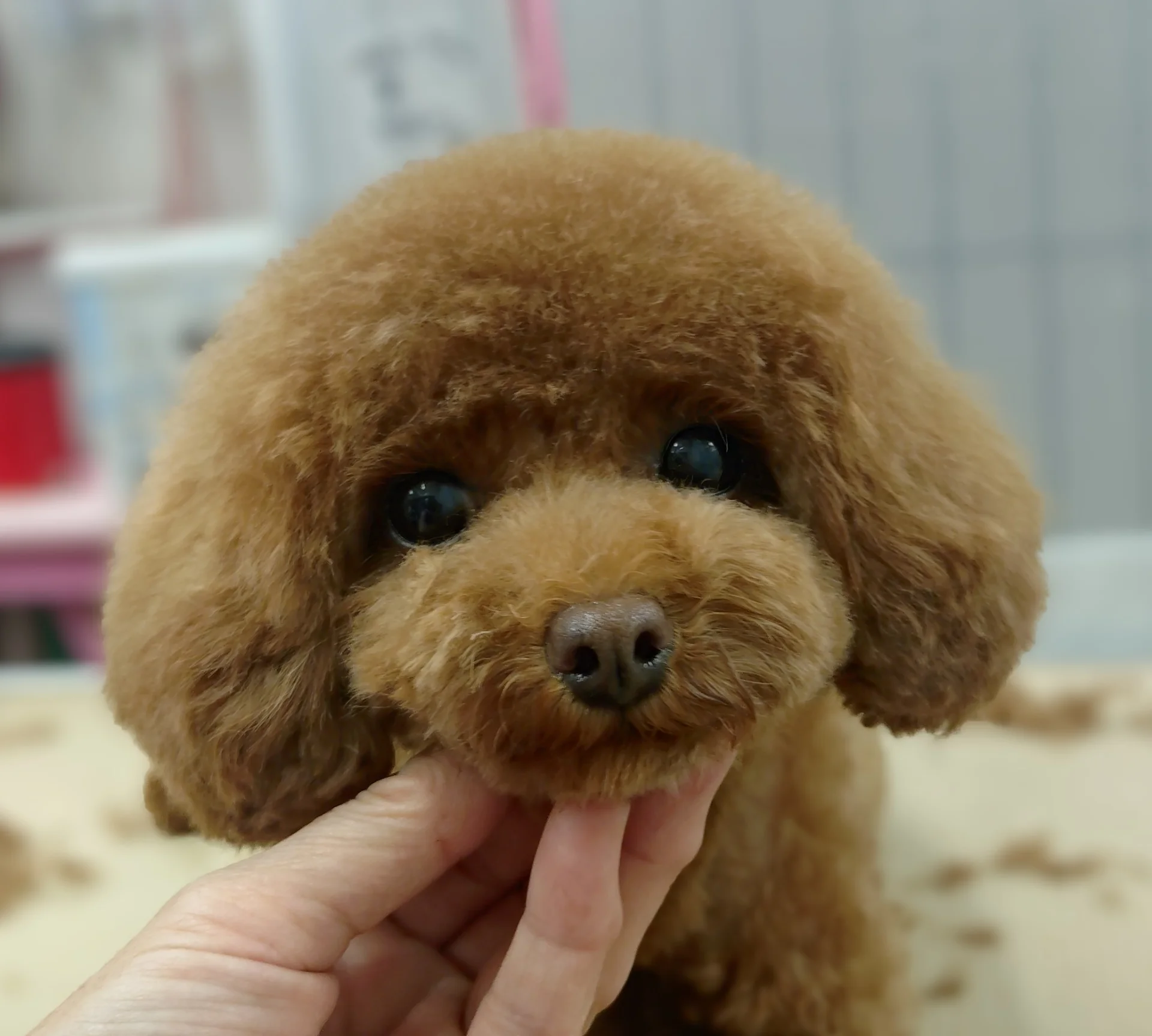 サムネイル 3
