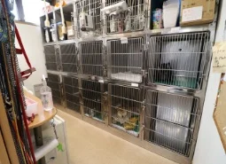 サムネイル 14