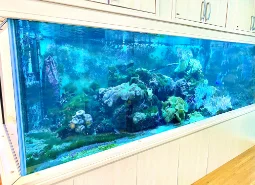 サムネイル 7