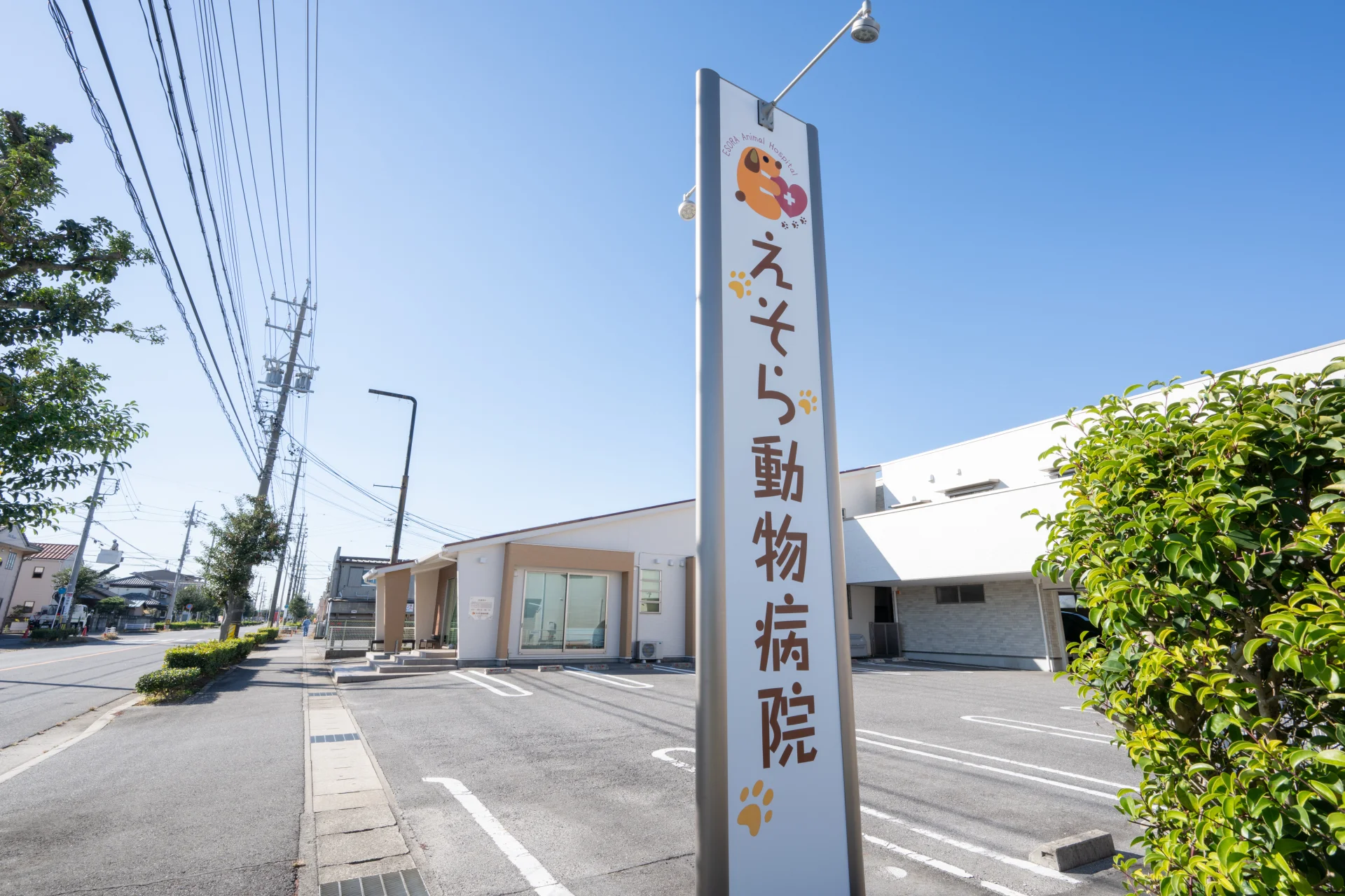 えそら動物病院