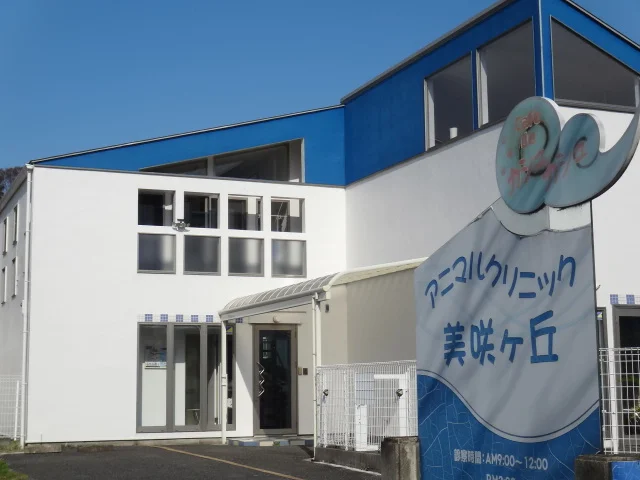 サムネイル 2