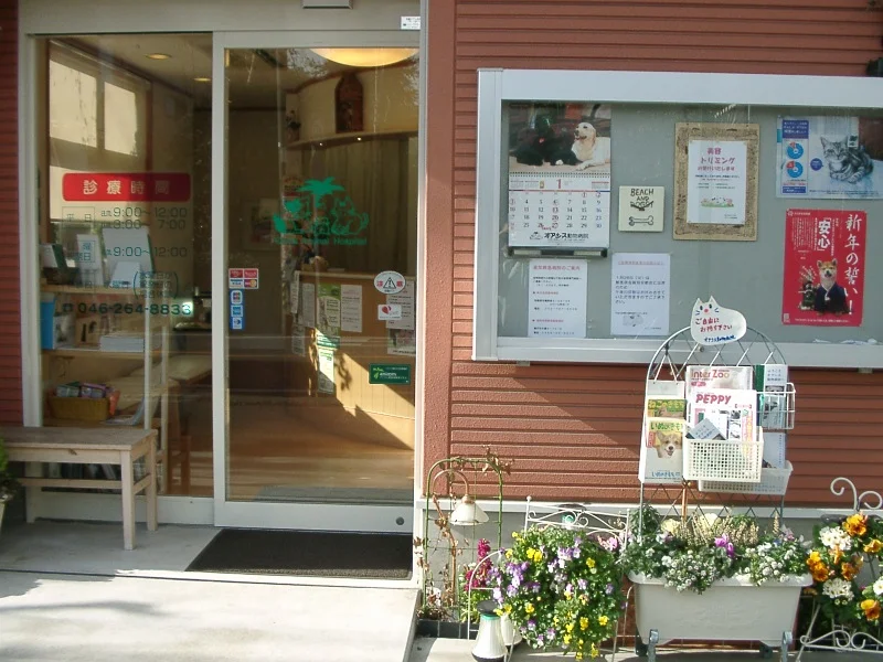 オアシス動物病院