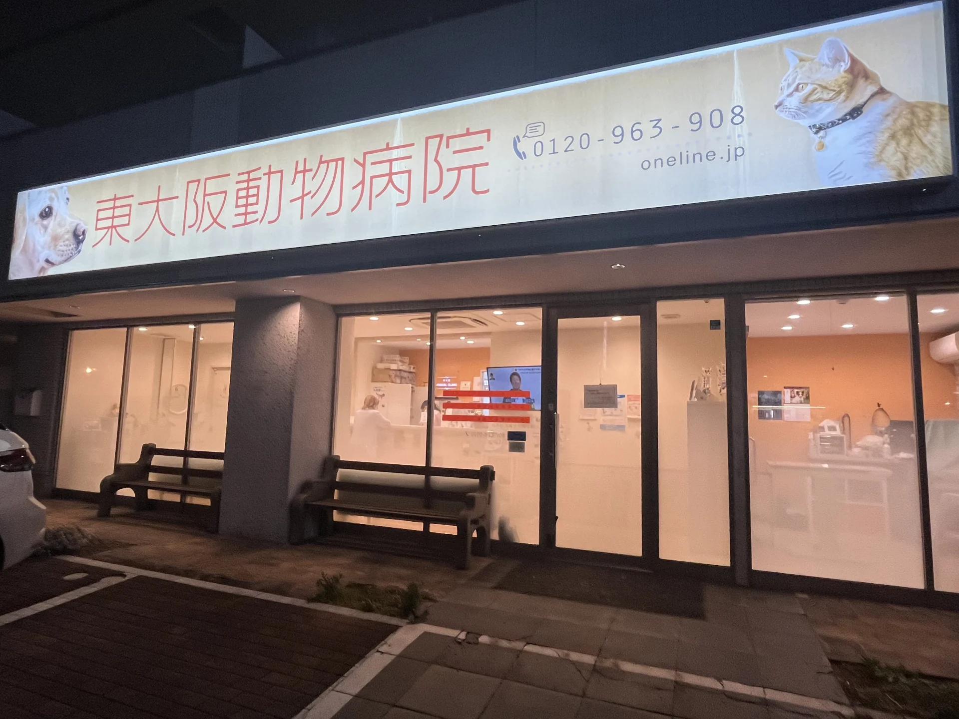 東大阪動物病院