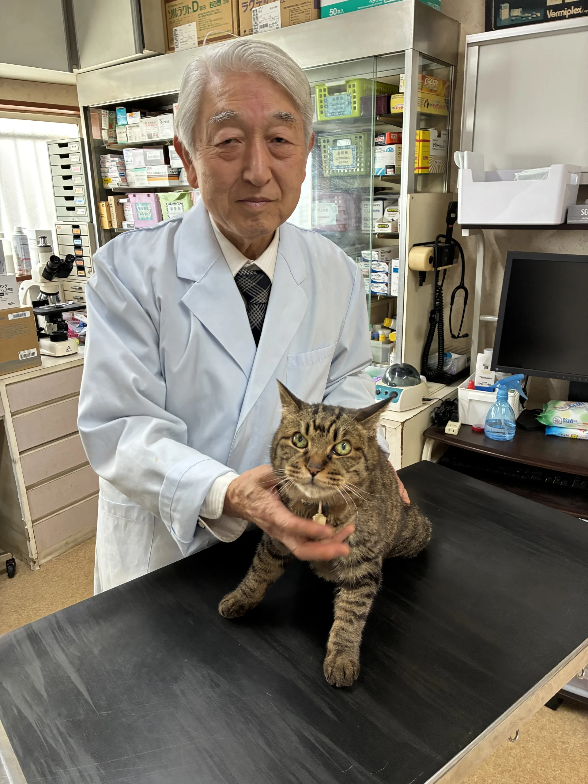 サムネイル 5