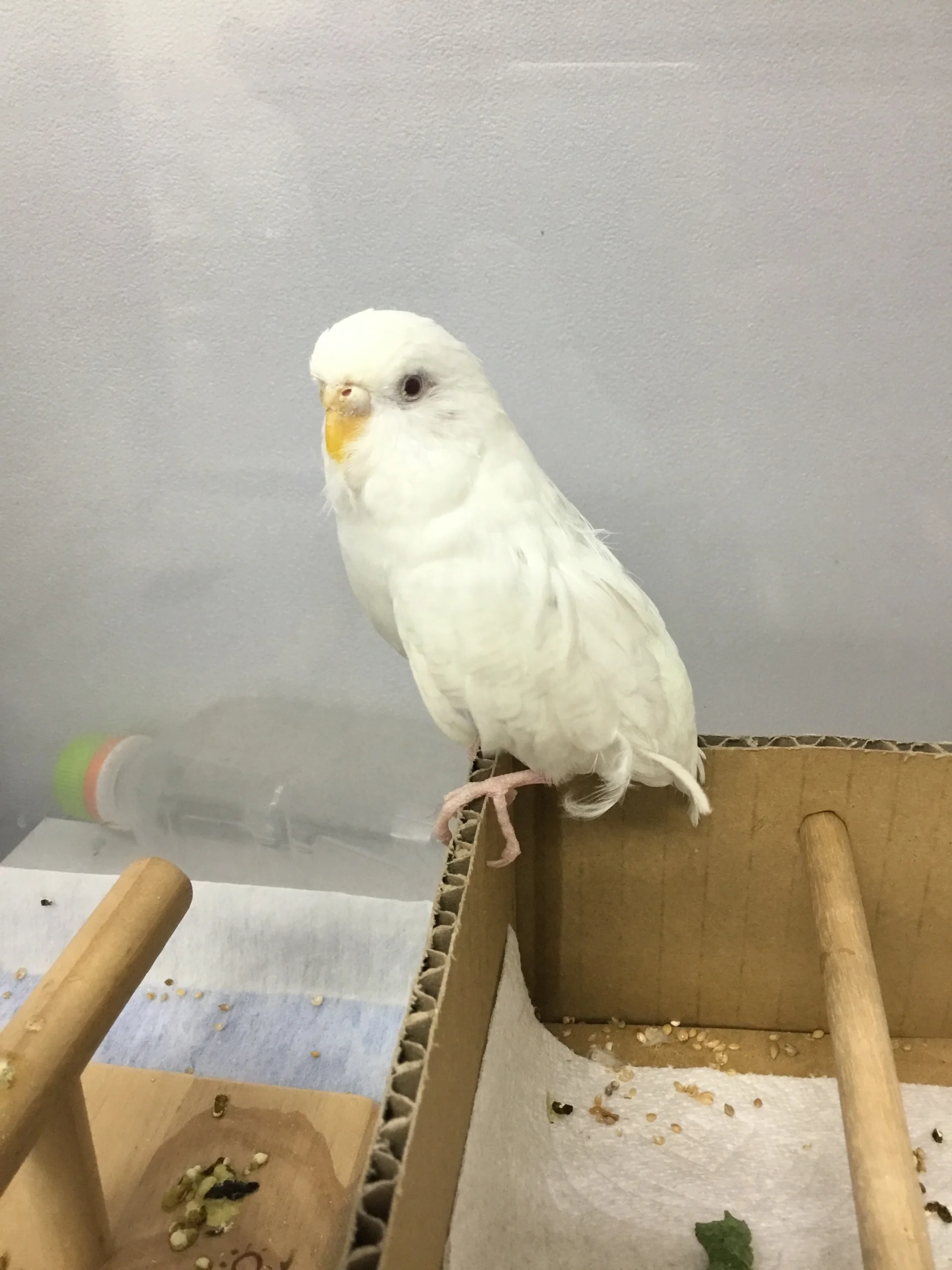 サムネイル 7