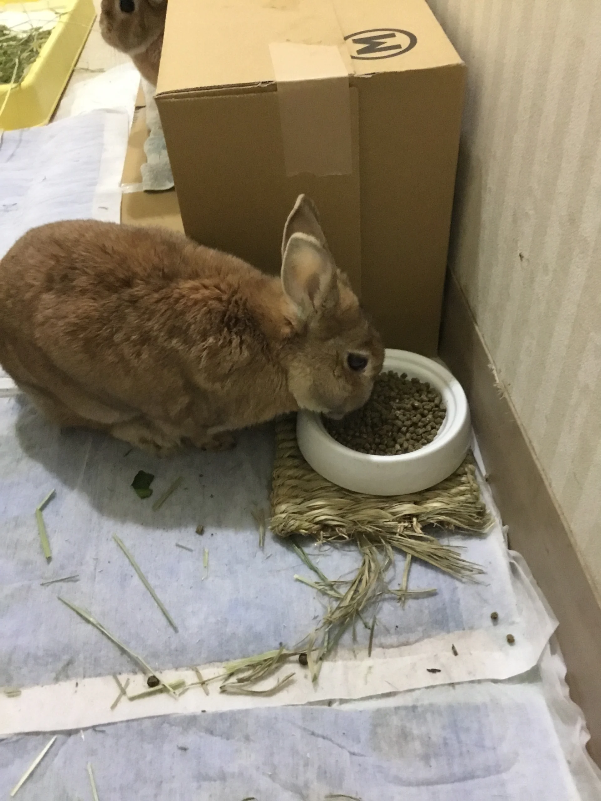 サムネイル 8