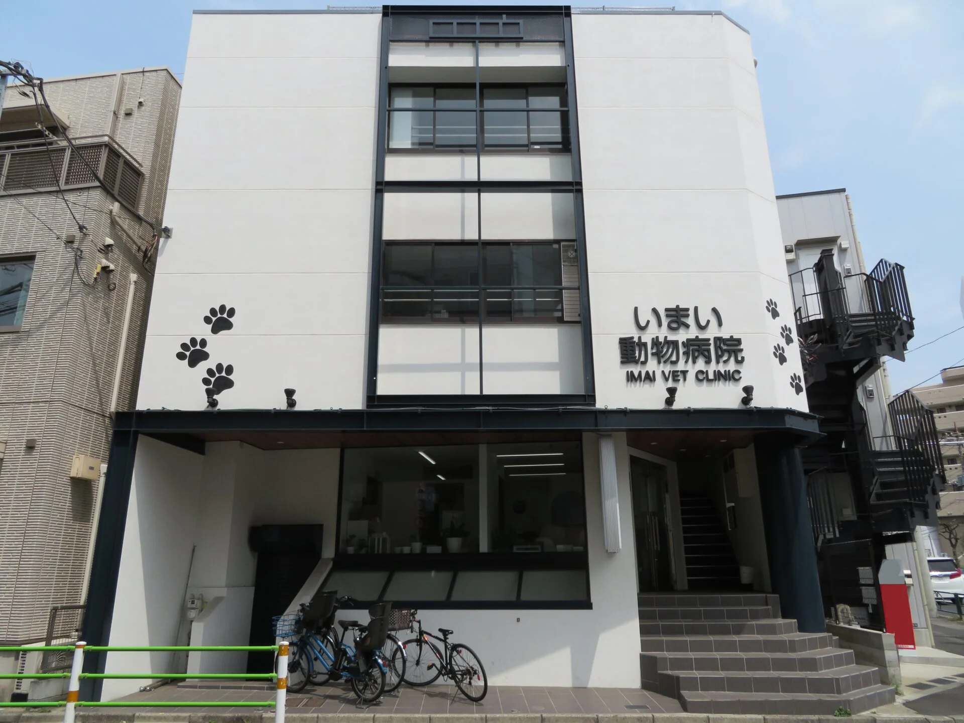 いまい動物病院