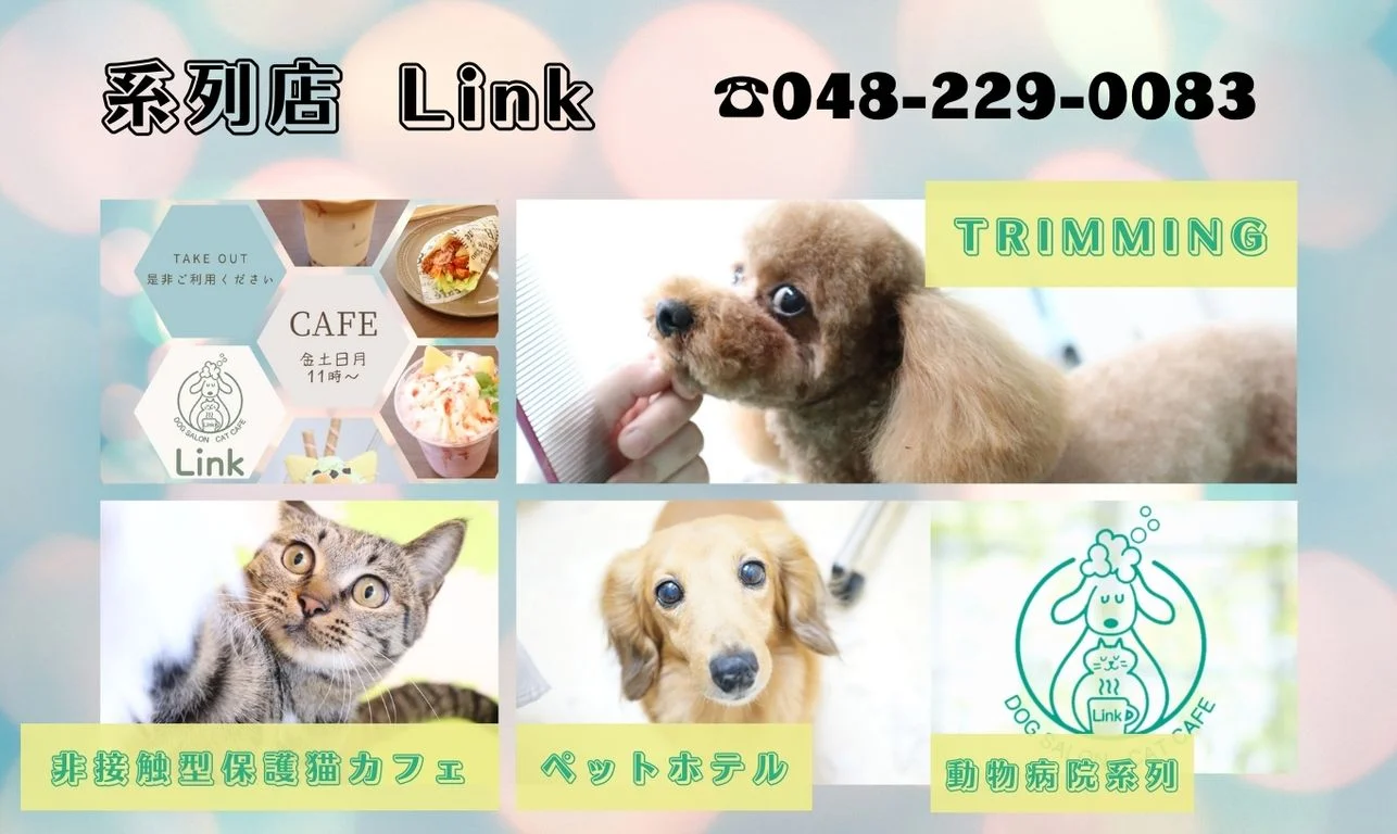 サムネイル 9