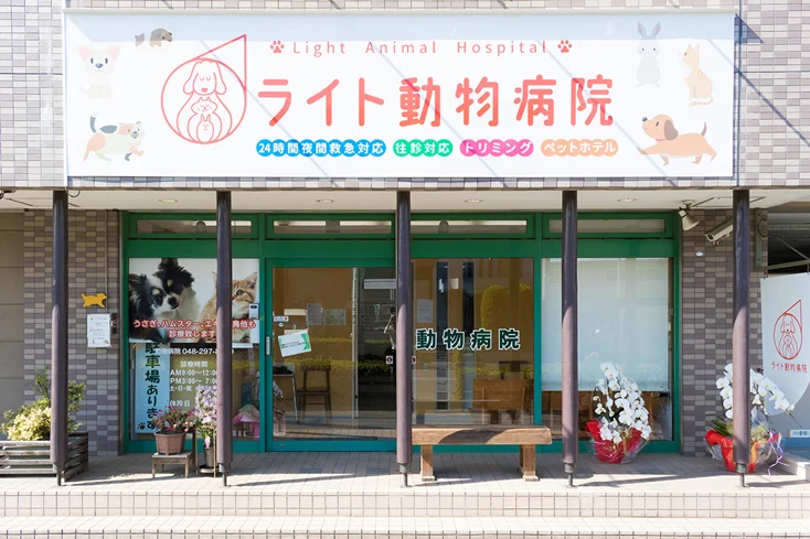 ライト動物病院