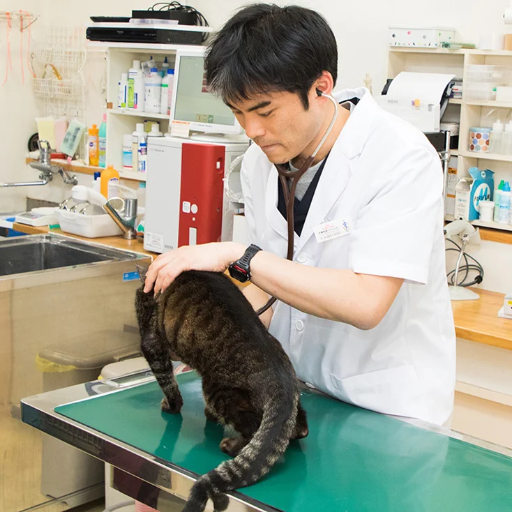 サムネイル 6