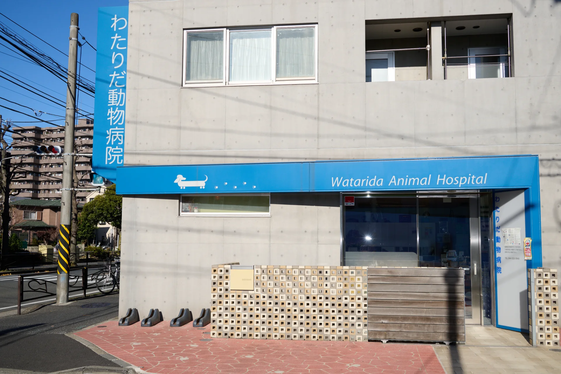 わたりだ動物病院